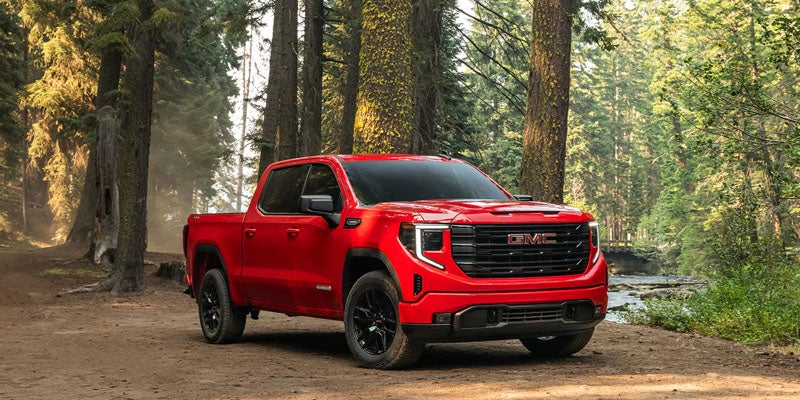 GMC Sierra pickup in forest setting